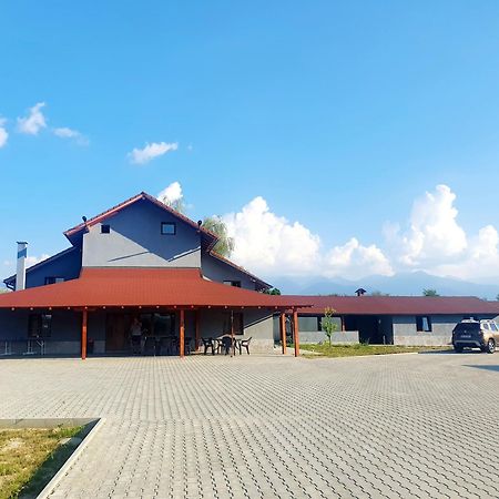 Vila Karina Carta (Sibiu) Exterior foto