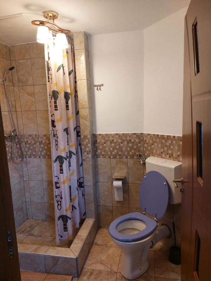 Vila Karina Carta (Sibiu) Exterior foto